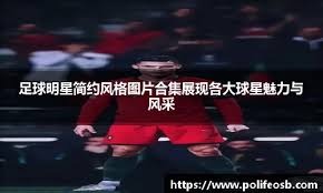 友好的养