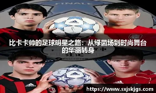 博彩行业的财政可预期性（博彩业财政的可预见性）